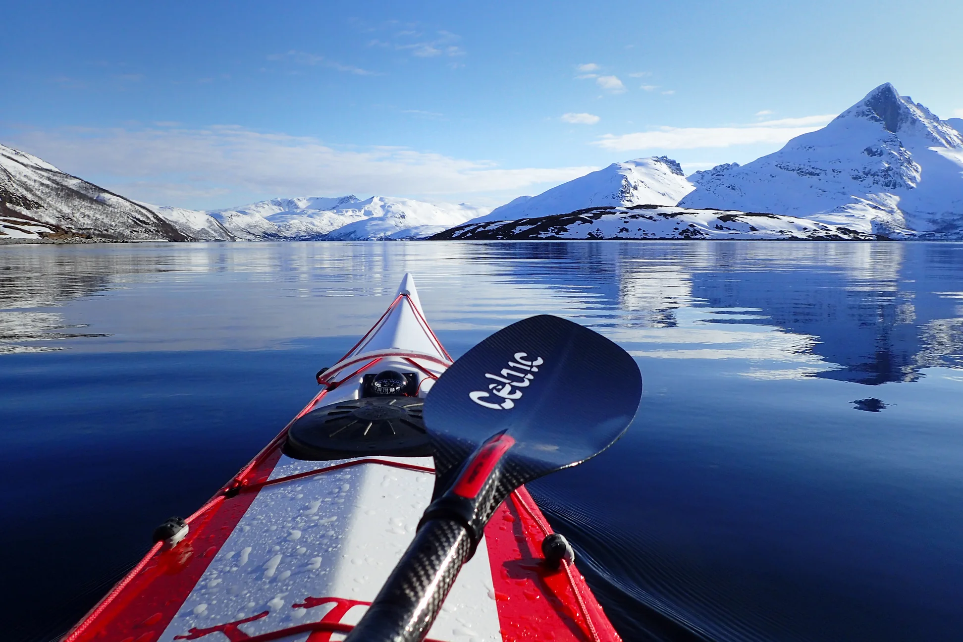 paddle and Pitch